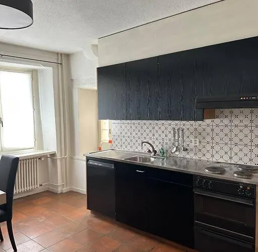 Cozy In Oldtown Zurich5 Apartmán Curych